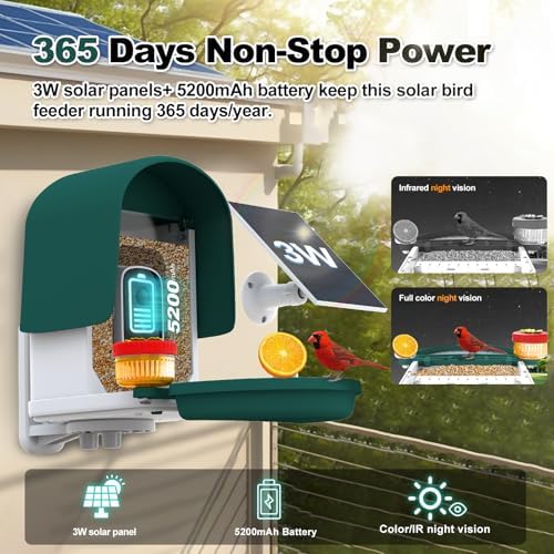 4k Smart Bird Feeder with Camera, Build-in 32GB SD Card & Solar Powered