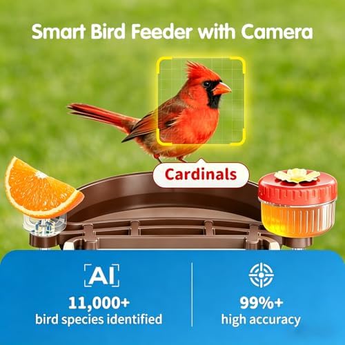 Bird Feeder with Camera, Flagship Model, 4K UHD, 160° Wide Angle AI Bird Camera, Instant Arrival Alerts, Solar Powered, 5200mAh Battery, IP66 Waterproof Outdoor, Gift for Bird Lovers, Brown