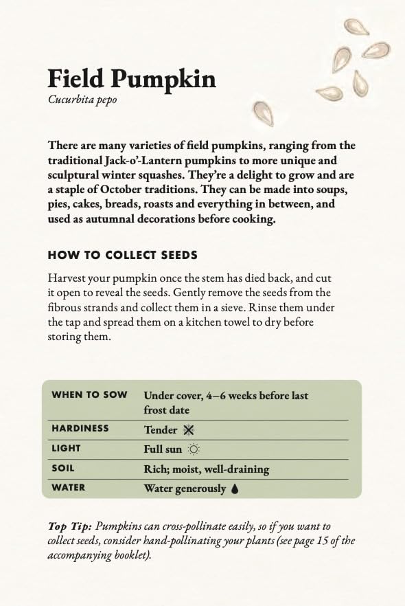 The Seed Collector's Kit: Collect - Sow - Grow - Harvest: Plant your garden from seed with 50 informative cards, five