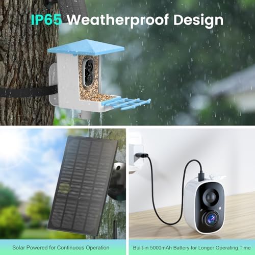 Solar Smart Bird Feeder with Camera, 2.5K HDR Live Video, AI Bird ID