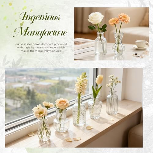 Der Rose 20pcs Glass Bud Vases, Clear Vases for Wedding Home Decorations