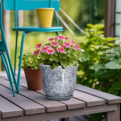 Ceramic Planter, 6 Inch Plant Pot for Indoor Plants, Grey