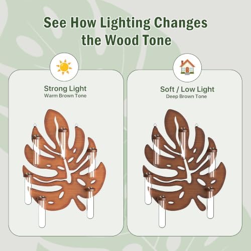 2 Pack Monstera Hanging Wall Planter, Plant Propagation Station