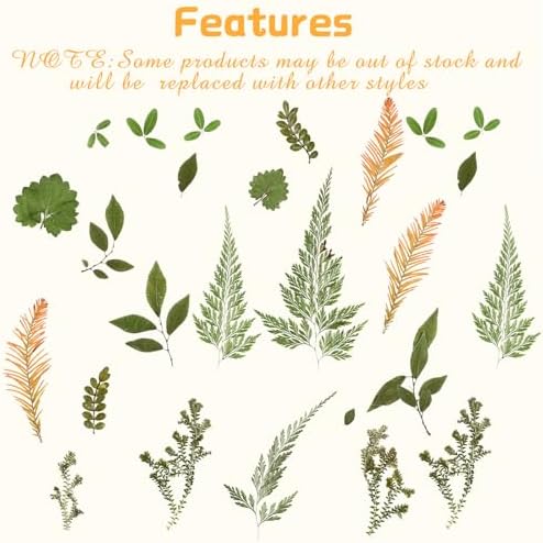 Nuanchu 99 Pieces Bulk Assorted Pressed Leaves for Crafts, 5 Pack, Stylish