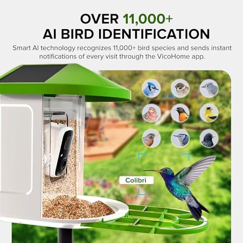 Birvio™ Smart Bird Feeder with Camera, Solar Powered, 1080P HD WiFi Live Stream, AI Bird Identification, Instant Motion Alerts