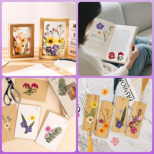428 Pcs Dried Pressed Flowers for Resin,Real Nature Dried Flowers for Craft