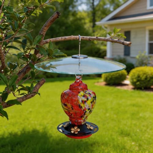 13" Large Glass Rain Cover for Bird Feeder, Clear Weather Guard Dome Shield