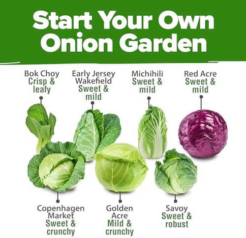 HOME GROWN Cabbage Seeds 7 Variety Mix 2000+ Heirloom Non-GMO, High Germination, Bok Choy, Red & Green Acre, Savoy, Napa Michihili, Copenhagen Market, Jersey Wakefield, Cold Hardy