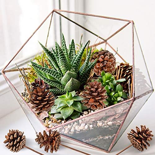 Whaline Christmas Natural Pine Cones 12 Pieces Pinecone Picks Christmas Tree Ornament Holiday Centerpiece for Xmas Tree Garland Wreath Home Party Decor Supplies, 1.8 Inch