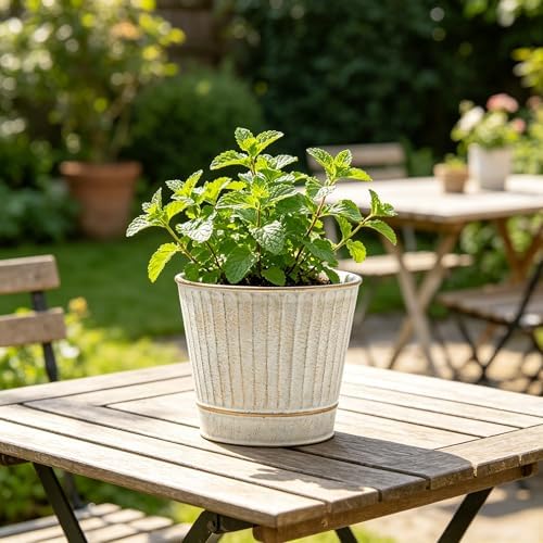 Hosley Metal Planters 7" Dia x 6" H Ideal Farmhouse Decor for Floral Arrangements Weddings, Gift Special Events Parties Outdoor Planters White wash