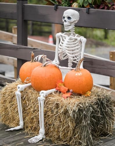 2 Pack 36" Halloween Skeleton - 3 ft Life Size Human Skeleton with Posable Joints - Spooky Scary Plastic Full Body Skeletons for Outdoor Halloween Decoration, Party Decor, Haunted House Props