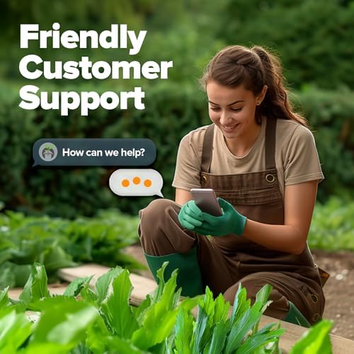 HOME GROWN Culantro Seeds, 360 Seeds, Eryngium foetidum