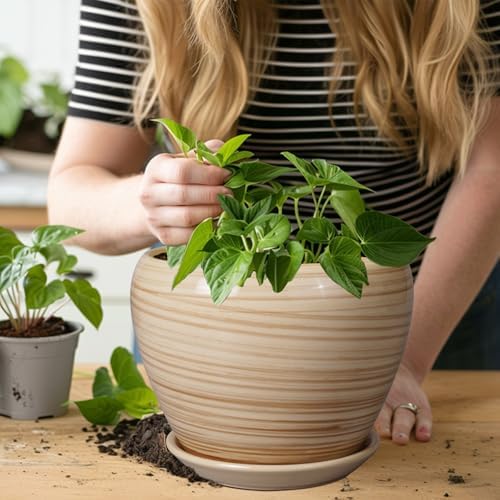 Ceramicfor Planter Pot 8 Inch, Ceramic Pot for Plants, Yellow