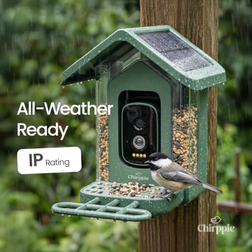 Solar Powered Smart Bird Feeder with Camera — 2K HD Video Bird Feeder with AI Bird Identification, Wireless 2.4 GHz WiFi Outdoor Birdhouse Camera with Live Feed — Gift for Bird Lovers (Green)