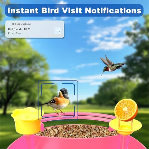 Bird Feeder with Camera - 4K HD Live View, Smart Bird Feeder Solar Powered, AI Recognition Auto Capture Video, 3-in-1 Feeding & Bathing & Hummingbird, Outdoor Garden Bird House (Pink)