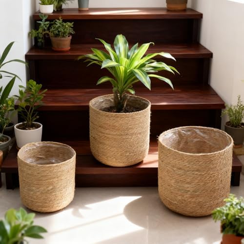 11.8 inch Handmade Seagrass Woven Planter Basket (Medium)