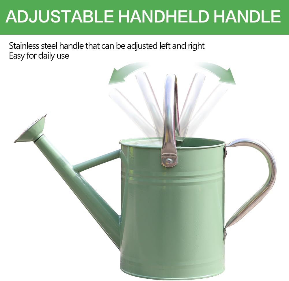 Metal Watering Can 1 Gallon for Outdoor Garden Plants, CGreen | Watering Cans Stainless Steel Handhold with Removable
