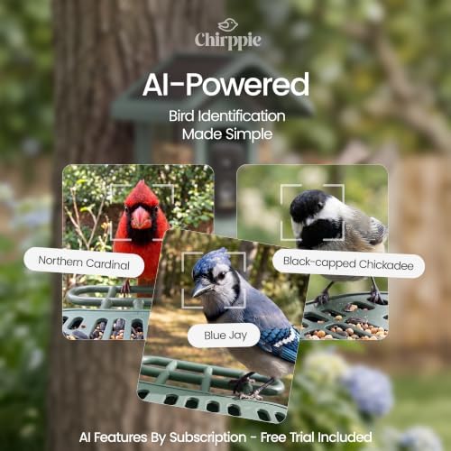 Solar Powered Smart Bird Feeder with Camera — 2K HD Video Bird Feeder with AI Bird Identification, Wireless 2.4 GHz WiFi Outdoor Birdhouse Camera with Live Feed — Gift for Bird Lovers (Green)