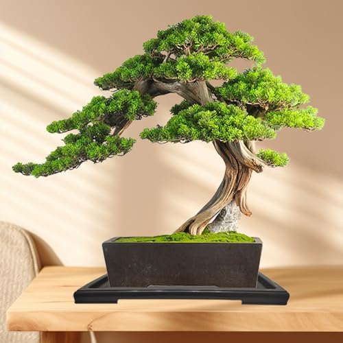 KEOHOLI 2 Packs Bonsai Humidity Plant Tray Drip Trays, Square Plastic Pot Saucer Draining Tray for Indoors Outdoors for Cactus, Succulents, Bonsai Tree, Stone to Drain, Protect, Decorate(11.4*8.4Inch)