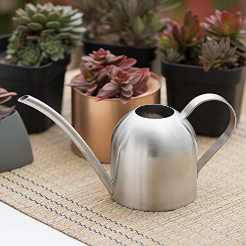 Watering Can for Indoor Plants, 450ml/15oz Stainless Steel