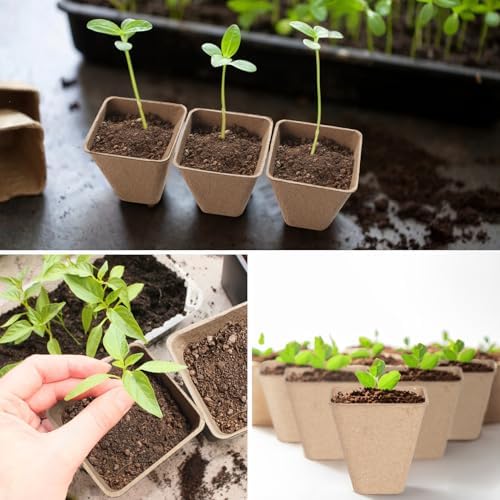 Baxrou 120 Pack 3.15 Inch Square Peat Pots for Seedlings