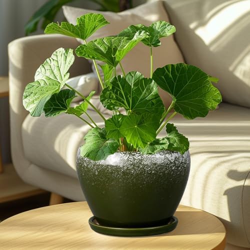 Ceramicfor 8 Inch Plant Pot - Ceramic Planter with Drainage, Dark Green
