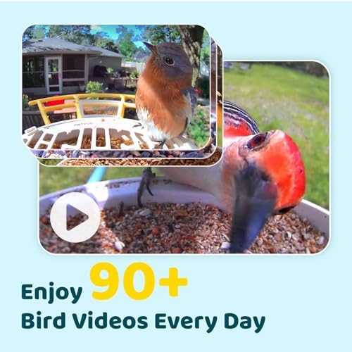 NETVUE by Birdfy Smart Bird Feeder with AI Camera, Auto Capture Videos & Live Steam, Wireless Wildbird Watching, Outdoor Backyard Birder(AI by Subscription) Yellow