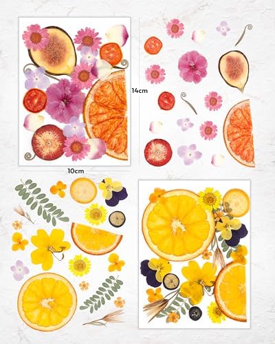Resiners Dried Pressed Flowers for Resin Molds Scrapbook Supplies