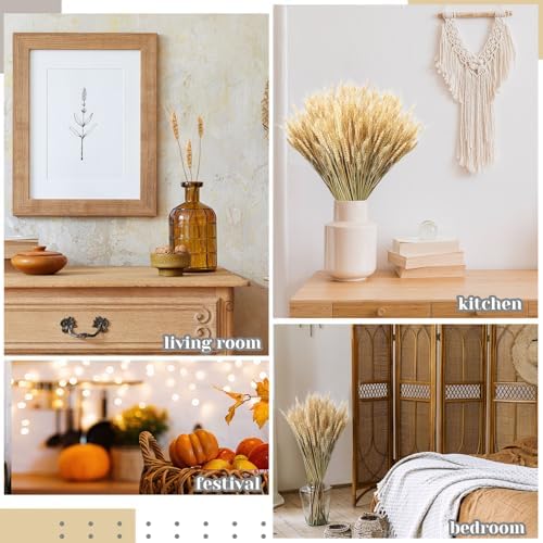 Geosar 800 Stems Dried Wheat Stalks for Decor Natural Wheat Grass Sheaves Bundle Farmhouse Artificial Flowers Arrangement for DIY Wedding Table Home Centerpieces Party Decorative (16 Inch)