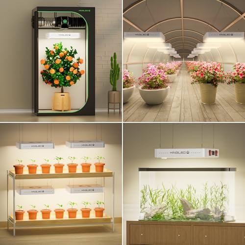 KingLED KP3000 Grow Light for Indoor Plants, Full Spectrum Plant Grow Light
