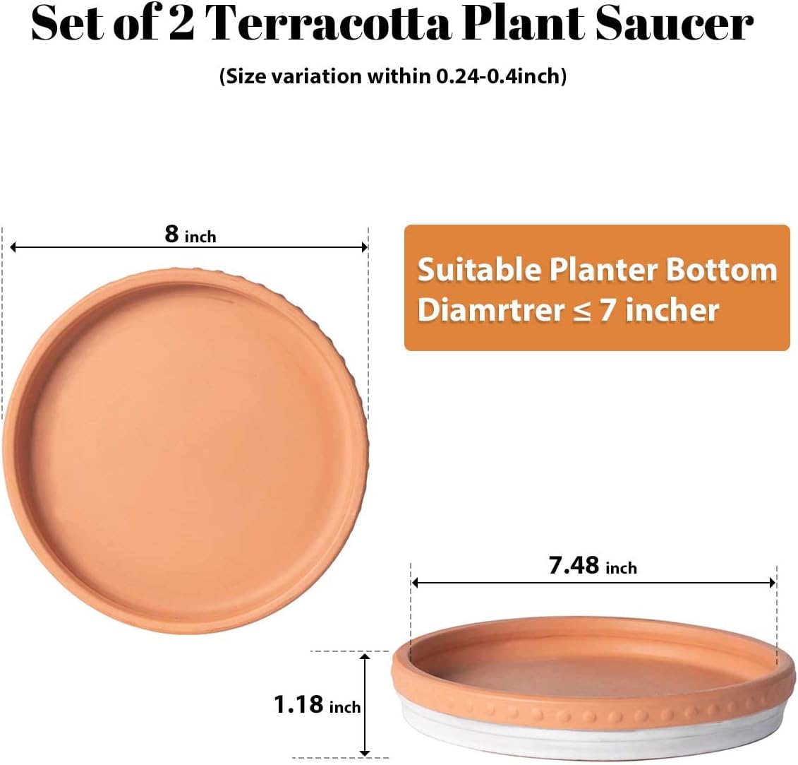 YBX 8-inch Plant Saucer Premium Terracotta Saucer Round Ceramic Plant Trays, Pack of 2 (White/Terracotta) | Glazed