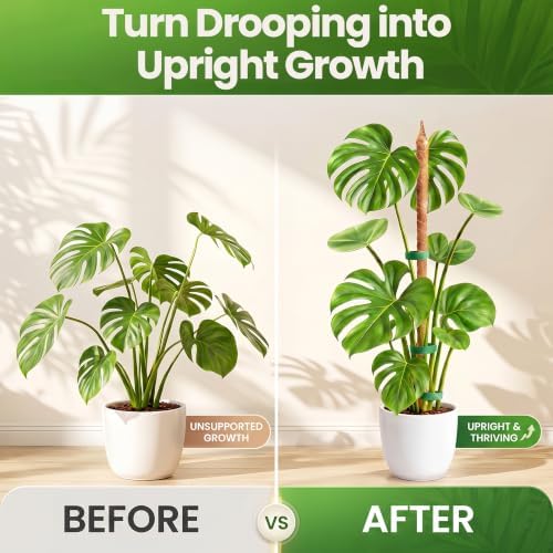 63'' Moss Pole Monstera Plant Support for Climbing Indoor Plants
