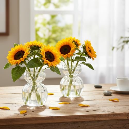 Avocado Hyacinth Bulb Vase 5''(H) Small Vases Table Clear 6pcs Glass