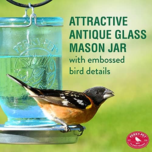 Perky-Pet 1 Mason Jar Wild Bird Waterer 783, Blue (Pack of 2)