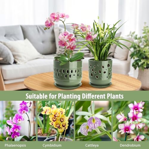 Orchid Pots with Holes, 5+6in Ceramic Orchid Planter 2 Pack