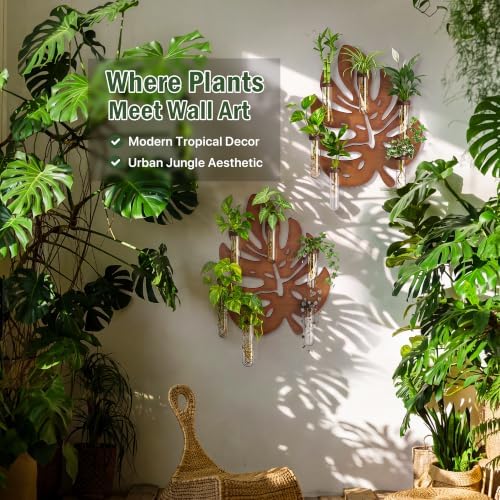 2 Pack Monstera Hanging Wall Planter, Plant Propagation Station