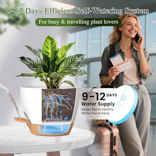 Plant Pots, 1 Pack 12 Inch Self Watering Pots with Drainage Holes, Water Level Indicator Deep Reservoir, Large Planters for Indoor Outdoor Plants - White Brown