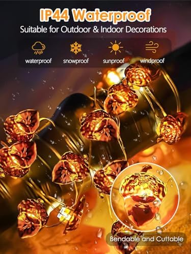 EXF Fall Decor Acorn Fairy Lights Battery Operated with Remote 10FT 30 LED