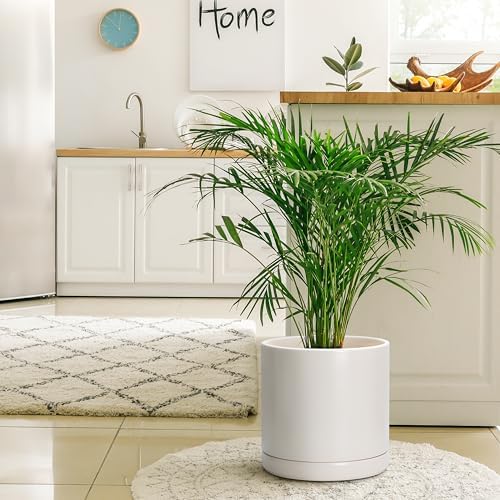 D'vine Dev 12 Inch Ceramic Planter Pot, Oatmeal, 94-O-F-8