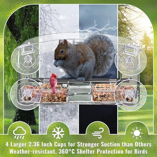 Window Bird Feeder with 4 Strong Suction Cup