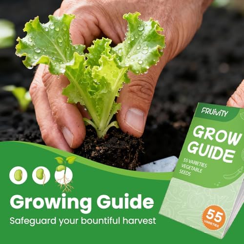 Vegetable Seeds Variety Pack (Vegetable Seeds)