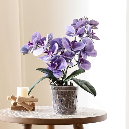 TRUEDAYS Orchid Pot, 6 Pack 6 Inch Plant Pot with Drainage
