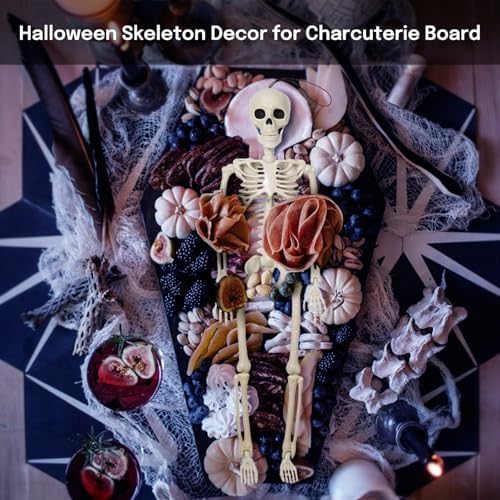 16" Poseable Small Skeleton for Halloween: Sturdy Joints Hold Pose Firmly