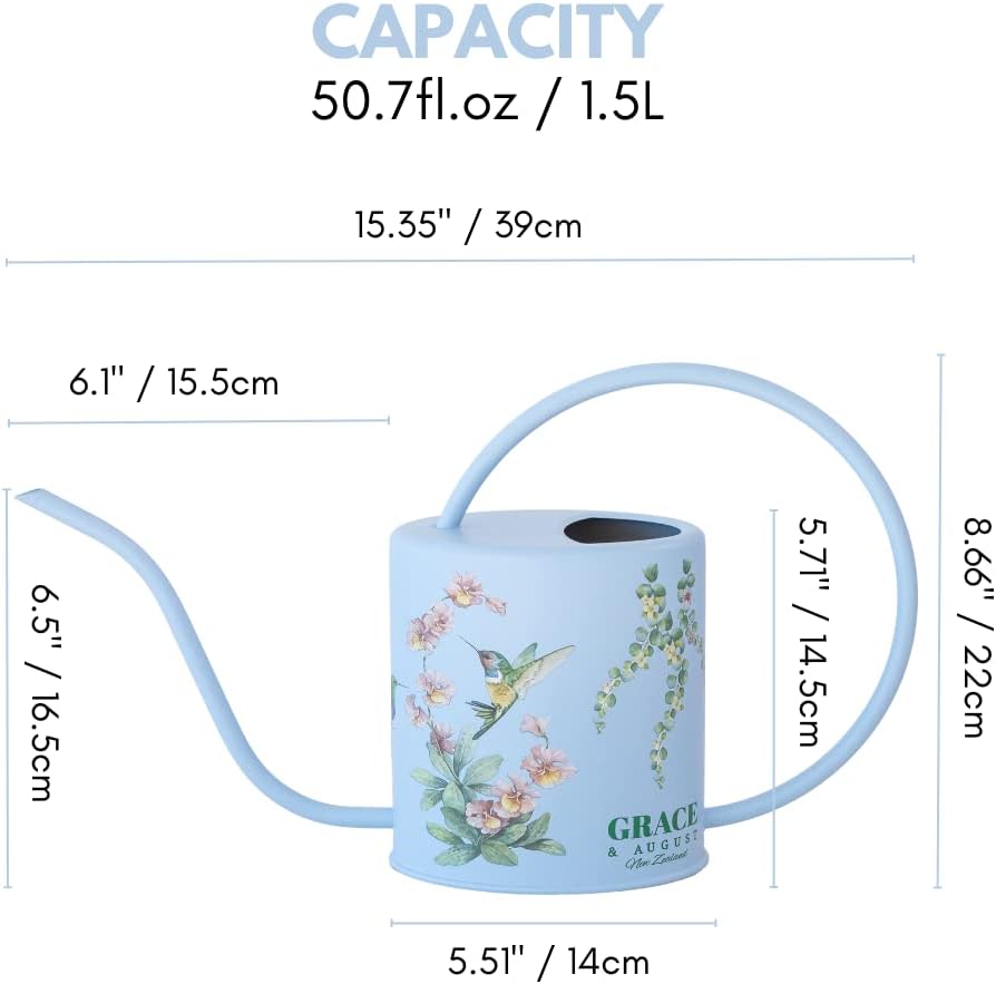 Indoor Watering Can & Mist Spray Bottle Set for Indoor Plants - Decorative | Gooseneck Long Spout, Stainless Steel