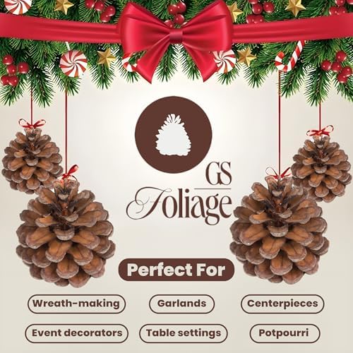 Natural Austriaca Pine Cones for Crafts - 2-3 Inch Real Pinecones for Christmas Decorating Ornaments, Holiday Decor Vase Filler - Rustic Woodland Dried Pine Cones - Set of 24 – Natural