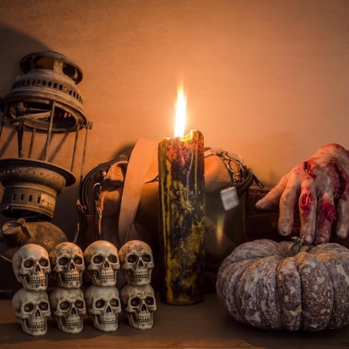 Boao 8 Pcs Halloween Small Skull Heads, 2.4 in Skeleton Skulls for Decor