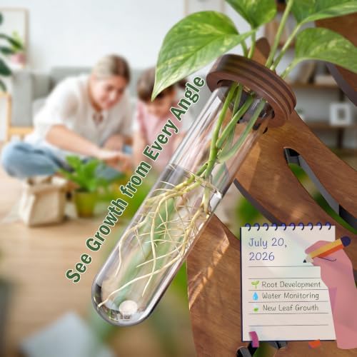 2 Pack Monstera Hanging Wall Planter, Plant Propagation Station