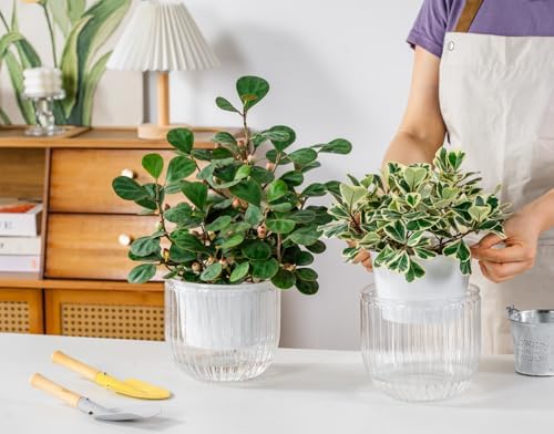 Melphoe Self Watering Pots for Indoor Plants Planter, 6.5 Inch 2 Pack Planters Self Watering Plant Pots for Flower, Houseplants, Succulent, African Violets and Cactus with Drainage
