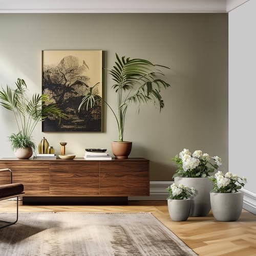 Kante Set of 3 Weathered Concrete Bowl Planters 18" 14" 10" Dia