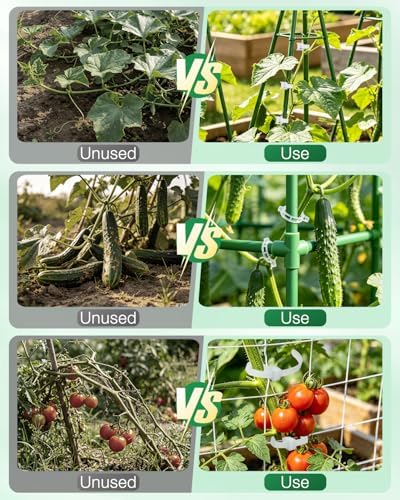 300Pcs Tomato Clips,Transparent Garden Plant Clips,Plastic Trellis Clips for Tomatoes,Cucumbers,Vines, Reusable Plant Support Clips, Gardening Supplies to Grow Upright